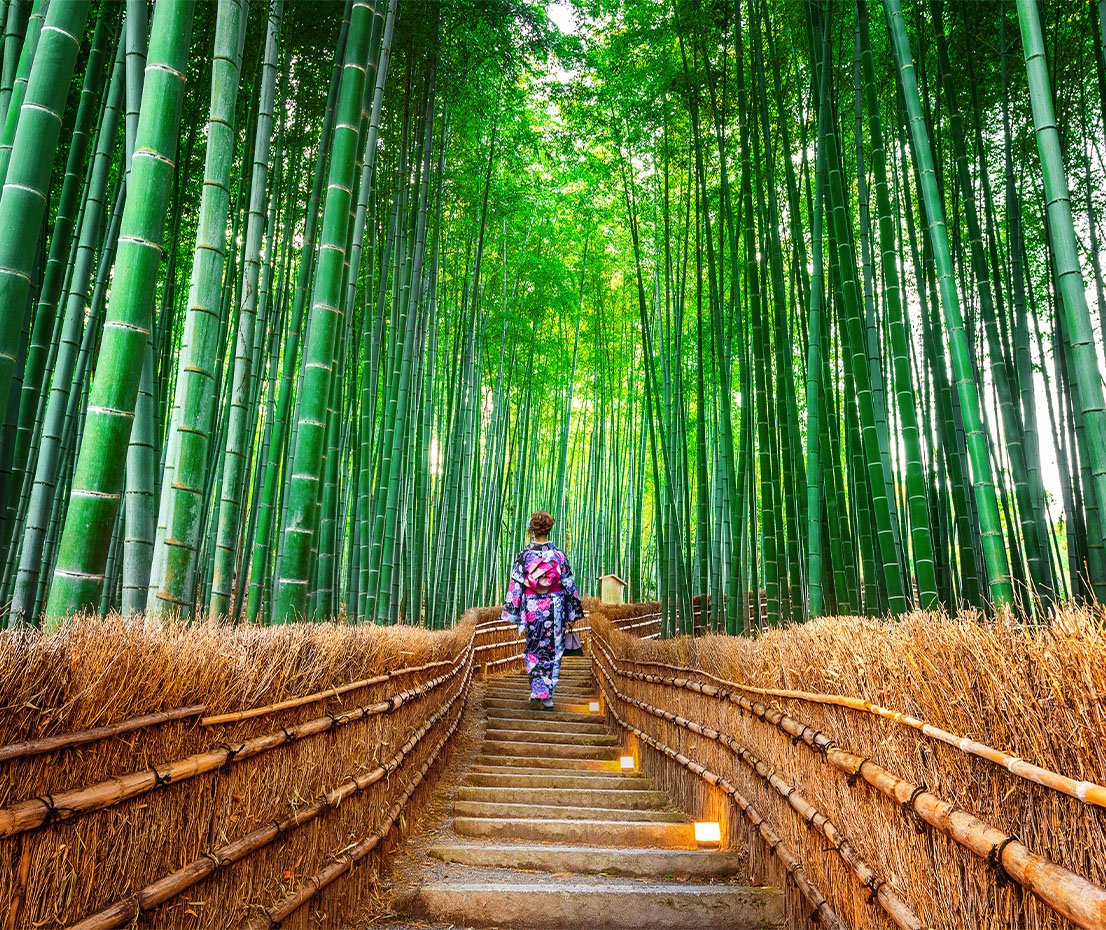 Day 8 Kyoto - Bamboo Forest with geisha
