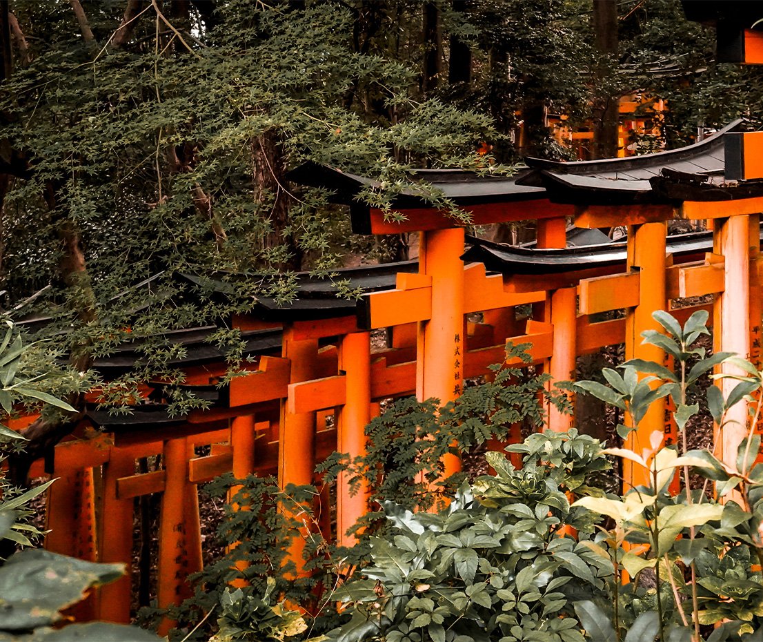 Day 9 Kyoto - iconic attraction 3